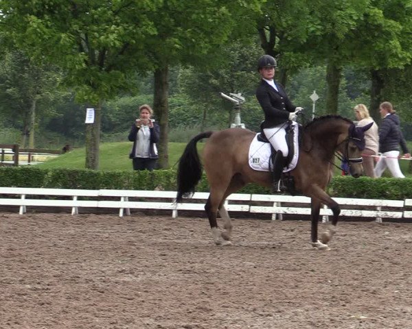 Reitturnier Hamm-Rhynern 2020