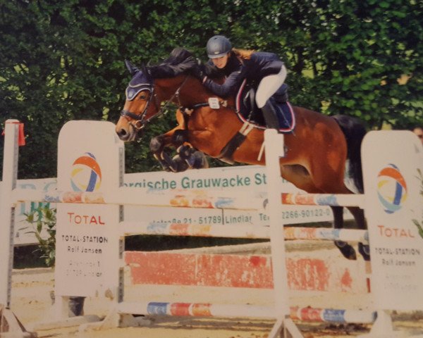 Springpferd Concorde - N (Tschechisches Warmblut, 2002, von Caletto III)