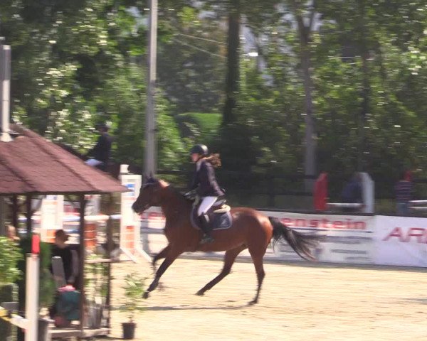 Dressur- und Springturnier Ochtrup 2021
