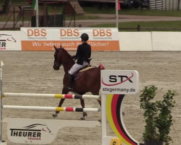 Reitturnier Westergellersen - Luhmühlen 2020