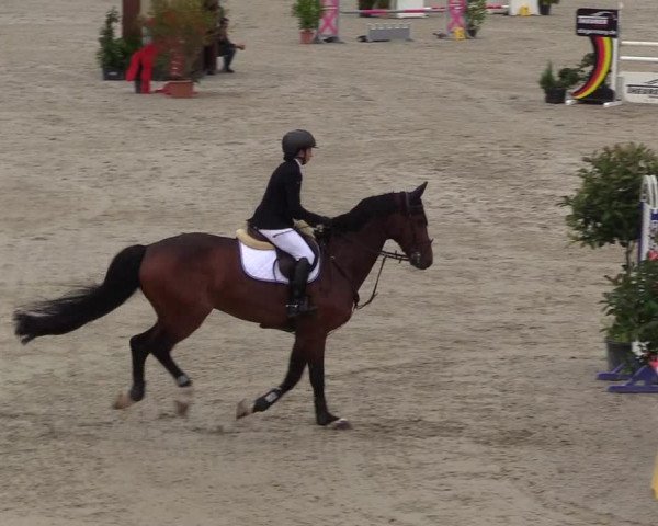 Reitturnier Westergellersen - Luhmühlen 2020