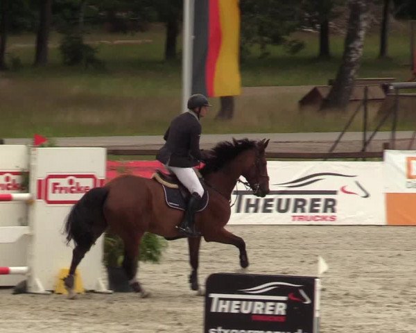 Reitturnier Westergellersen - Luhmühlen 2020