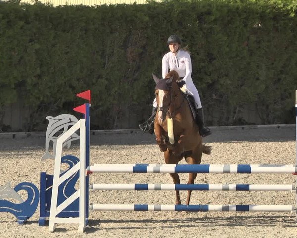 Reitturnier Worms-Pfeddersheim / Reitsportanlage Wittemer 2020