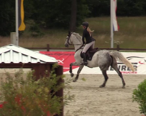 Reitturnier Westergellersen - Luhmühlen 2020