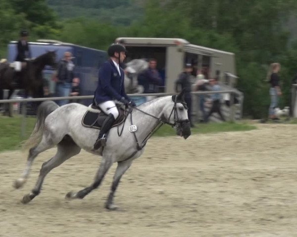 Reitturnier Haiger-Rodenbach 2020