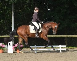 horse Carry's Princess 2 (Hanoverian, 2009)