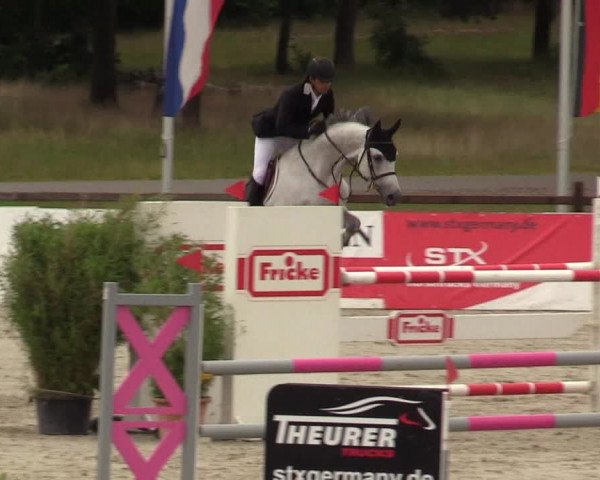 Reitturnier Westergellersen - Luhmühlen 2020