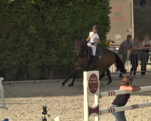 Reitturnier Worms-Pfeddersheim / Reitsportanlage Wittemer 2020