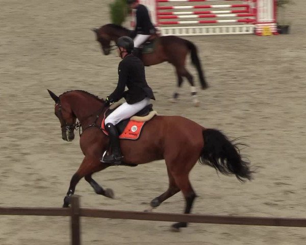 Reitturnier Westergellersen - Luhmühlen 2020
