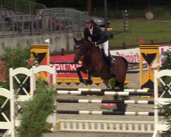 Reitturnier Westergellersen - Luhmühlen 2020