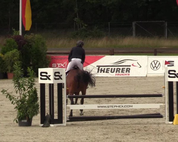 Reitturnier Westergellersen - Luhmühlen 2020