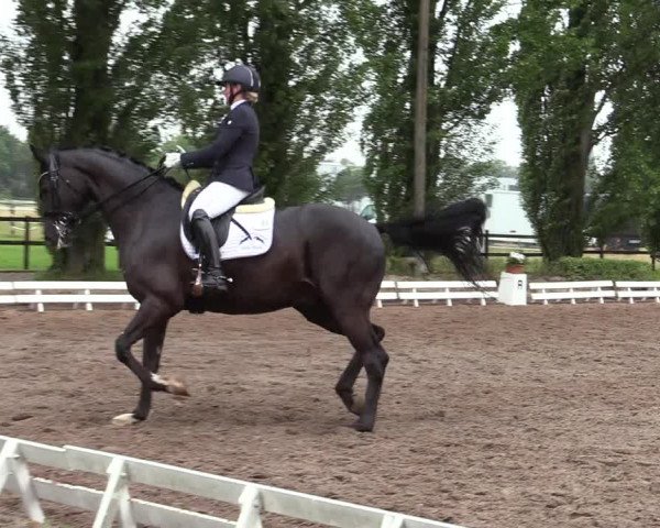 Reitturnier Hamm-Rhynern 2020