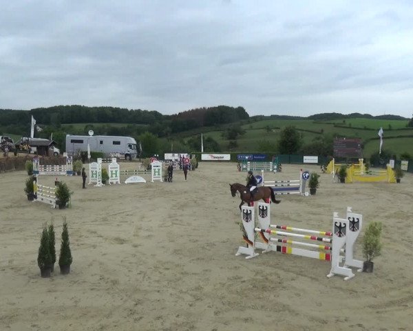 Reitturnier Lindlar-Süttenbach 2020