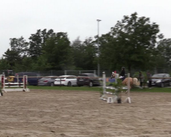 Reitturnier Halver 2020