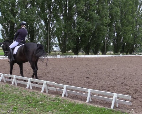 Reitturnier Hamm-Rhynern 2020