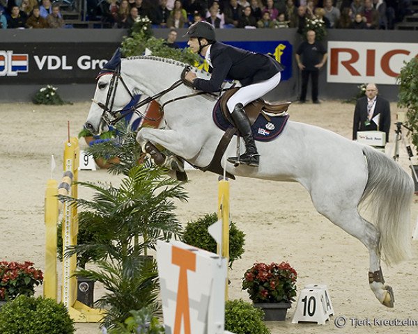 Zuchtstute VDL Groep Santana B (KWPN (Niederländisches Warmblut), 1999, von Mr Blue)