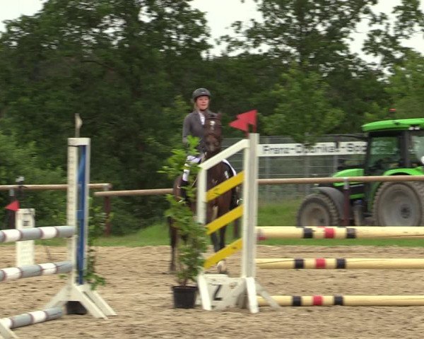 Reitturnier Halver 2020
