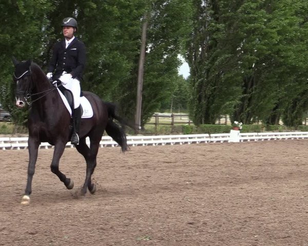 Reitturnier Hamm-Rhynern 2020