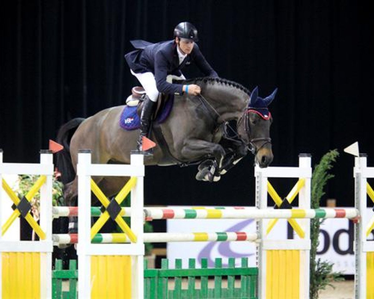 Springpferd VDL Groep Alexia Z (Zangersheide Reitpferd, 2006, von Air Jordan Z 2)