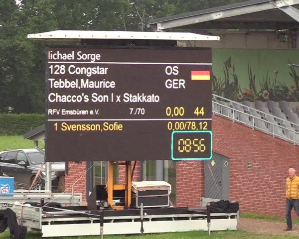 Reitturnier Westergellersen - Luhmühlen 2020