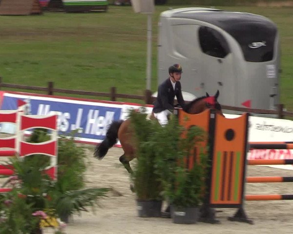 Reitturnier Westergellersen - Luhmühlen 2020