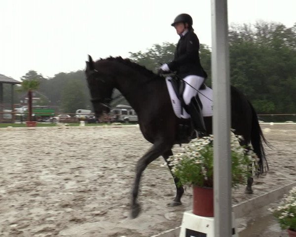 Reitturnier Halver 2020