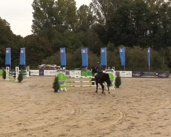 Reitturnier Everswinkel 2021