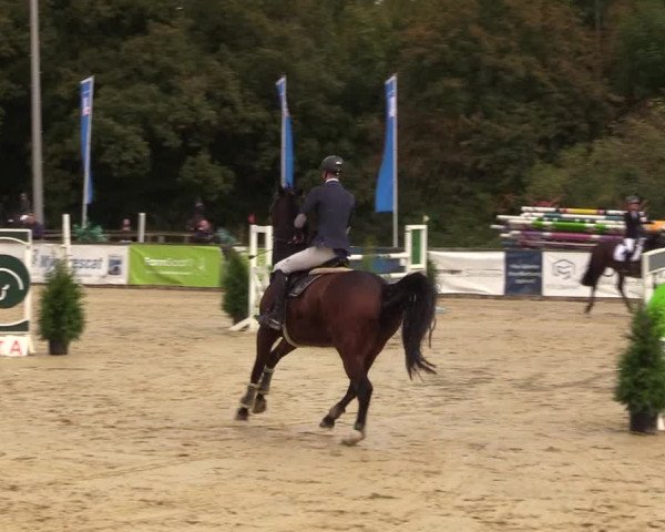 Reitturnier Everswinkel 2021