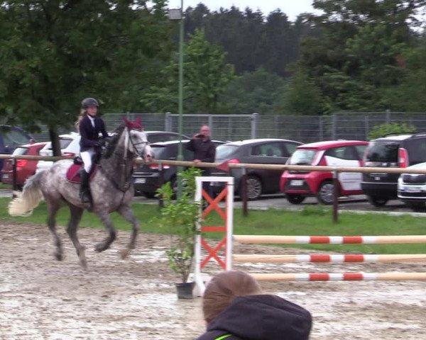 Reitturnier Halver 2020