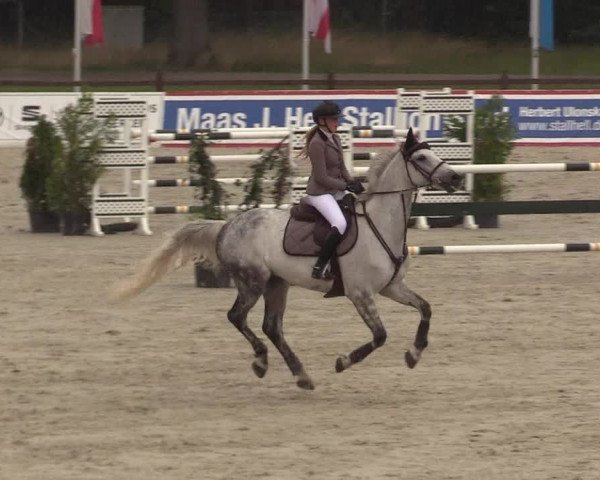 Reitturnier Westergellersen - Luhmühlen 2020
