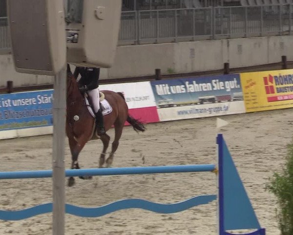 Reitturnier Westergellersen - Luhmühlen 2020