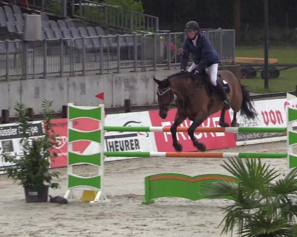 Reitturnier Westergellersen - Luhmühlen 2020