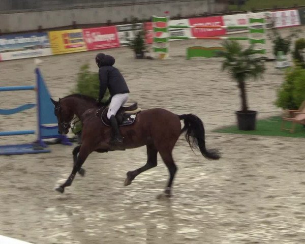 Reitturnier Westergellersen - Luhmühlen 2020