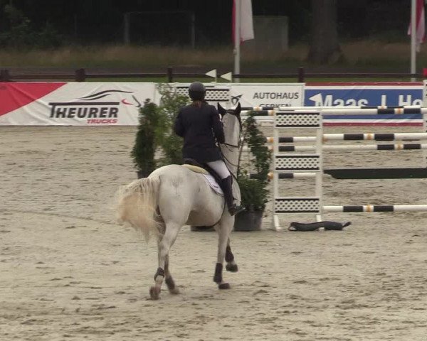 Reitturnier Westergellersen - Luhmühlen 2020