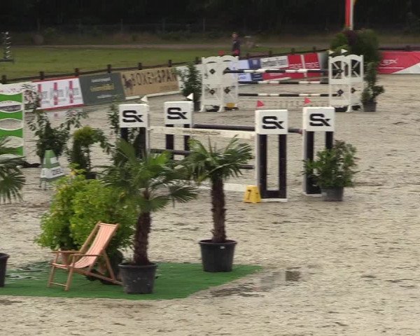 Reitturnier Westergellersen - Luhmühlen 2020