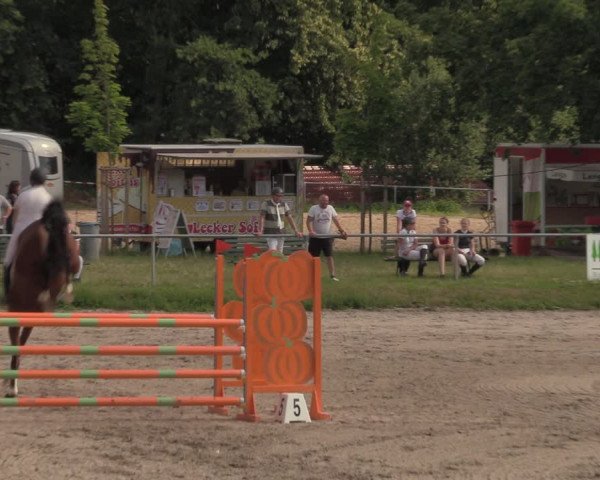 Reitturnier Lgl.-Oberhain, B95 2020