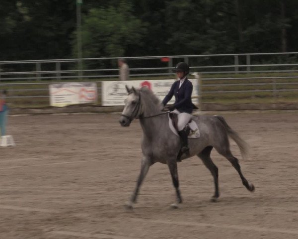 Reitturnier Lgl.-Oberhain, B95 2020