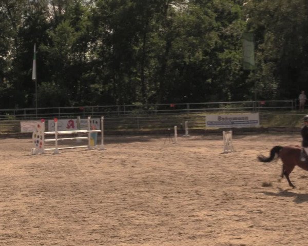 Reitturnier Lgl.-Oberhain, B95 2020