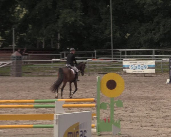 Reitturnier Lgl.-Oberhain, B95 2020