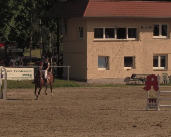 Reitturnier Lgl.-Oberhain, B95 2020
