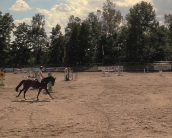 Reitturnier Lgl.-Oberhain, B95 2020