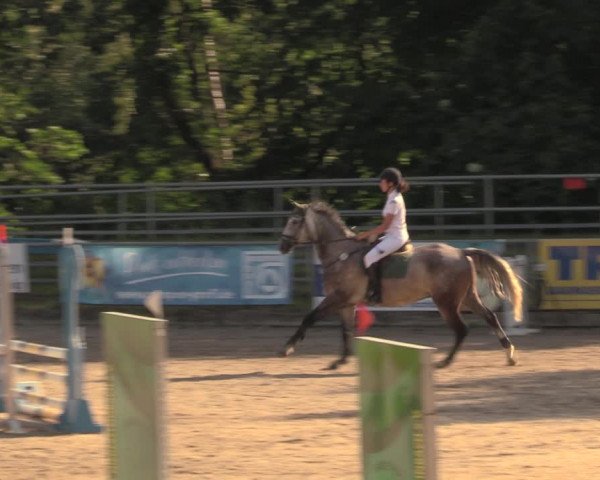 Reitturnier Lgl.-Oberhain, B95 2020