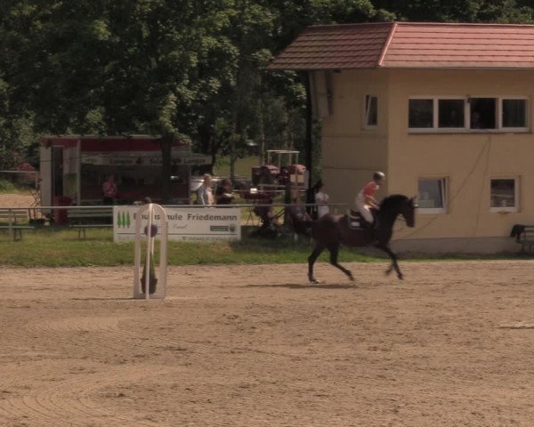 Reitturnier Lgl.-Oberhain, B95 2020