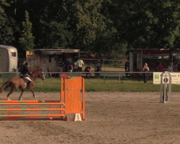 Reitturnier Lgl.-Oberhain, B95 2020