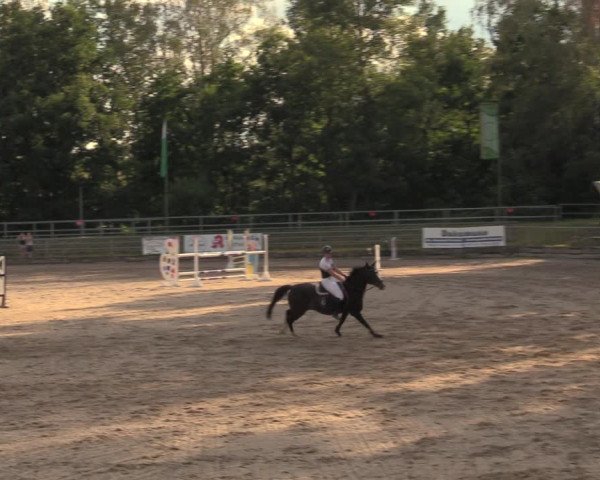 Reitturnier Lgl.-Oberhain, B95 2020
