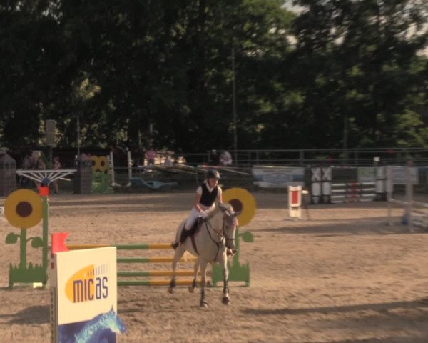 Reitturnier Lgl.-Oberhain, B95 2020