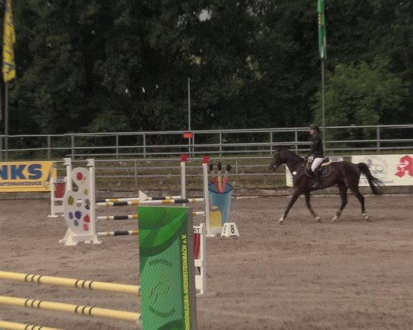 Reitturnier Lgl.-Oberhain, B95 2020