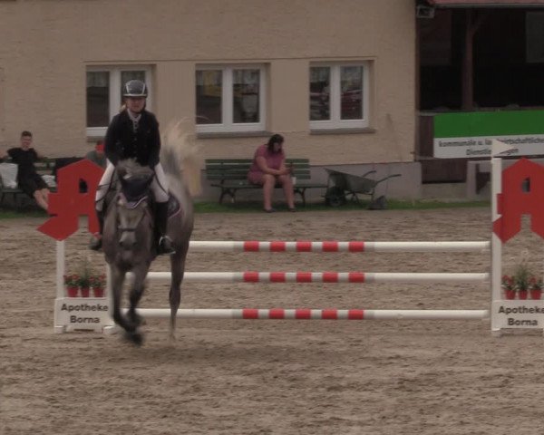Reitturnier Lgl.-Oberhain, B95 2020