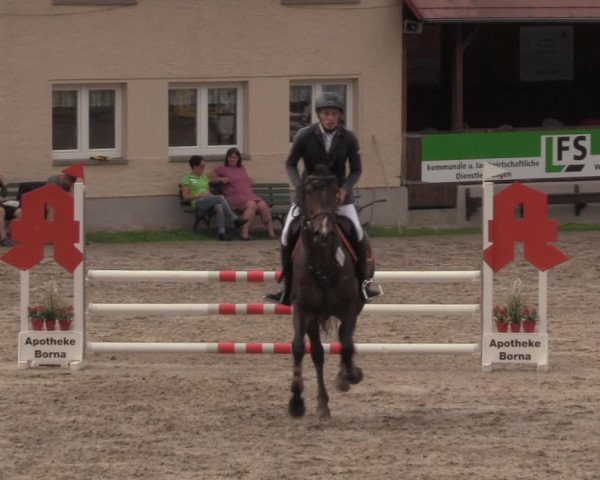 Reitturnier Lgl.-Oberhain, B95 2020