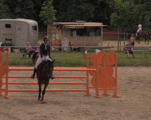 Reitturnier Lgl.-Oberhain, B95 2020